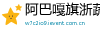 阿巴嘎旗浙蔬氙气灯
